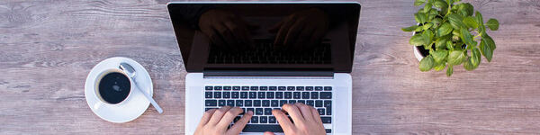 *Computer, Electronics, Laptop, Pc, Computer Hardware, Computer Keyboard, Hardware, Coffee Cup, Monitor, Plant*