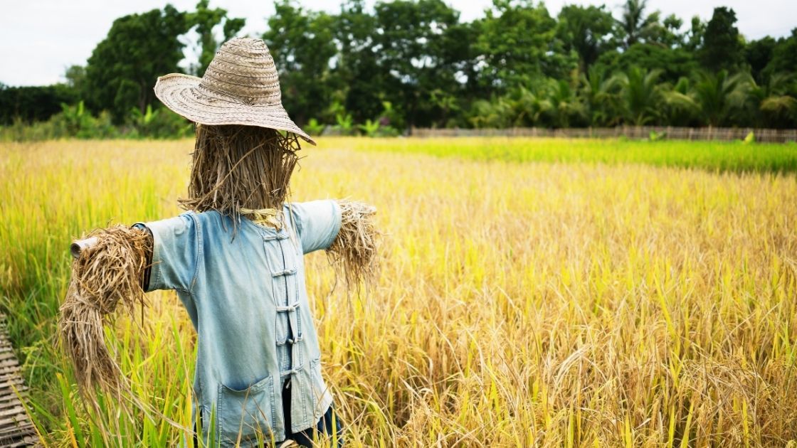 The Straw Man Fallacy in #NoEstimates: How It Misrepresents Agile Estimation
