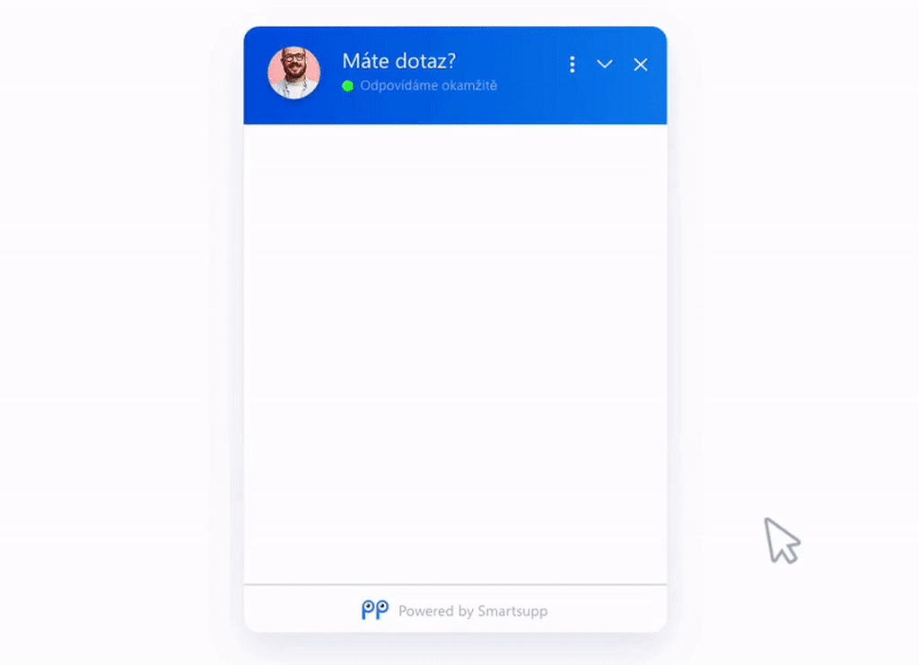 Shoptet chatbot pro automatickou objednávku