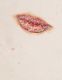 <p><b>Kaari Upson<br />
</b><i>Untitled (Lips)</i>, 2014–16<br />
Watercolor on paper<br />
64.8 × 57.8 cm | 25 1/2 × 22 3/4 inches<br />
72.1 × 65.4 × 5.1 cm | 28 3/8 × 25 3/4 × 2 inches (framed)</p>