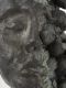 <p><b>Oliver Bak<br />
</b><i>Poppyhead</i>, 2024<br />
Bronze<br />
16.5 × 17 × 25 cm | 6 1/2 × 6 3/4 × 9 7/8 inches<br />
Edition of 3 + 2 AP</p>