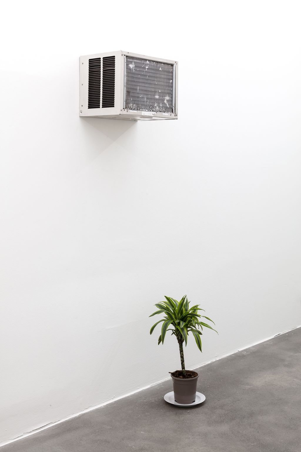Mika Rottenberg – Bowls Balls Souls Holes – Berlin