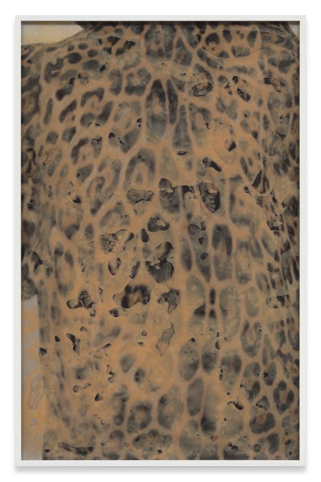 Pamela Rosenkranz – She Has No Mouth – Berlin