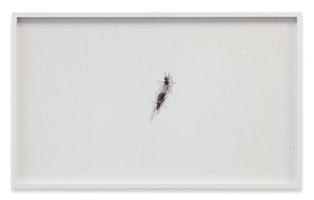 Louisa Clement, Anna Vogel, Moritz Wegwerth – Group Exhibition – Berlin