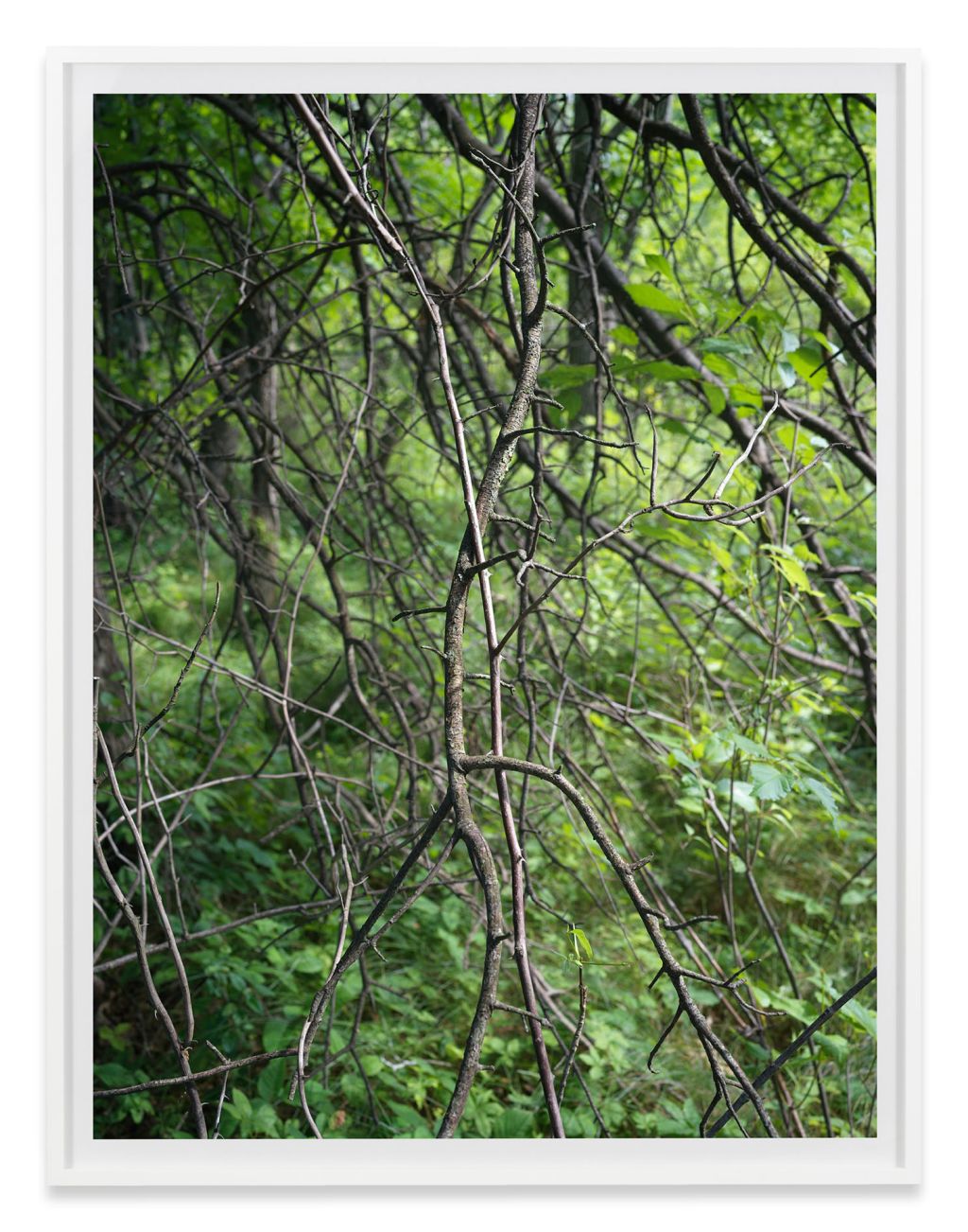 Stephen Shore – Stephen Shore – Los Angeles