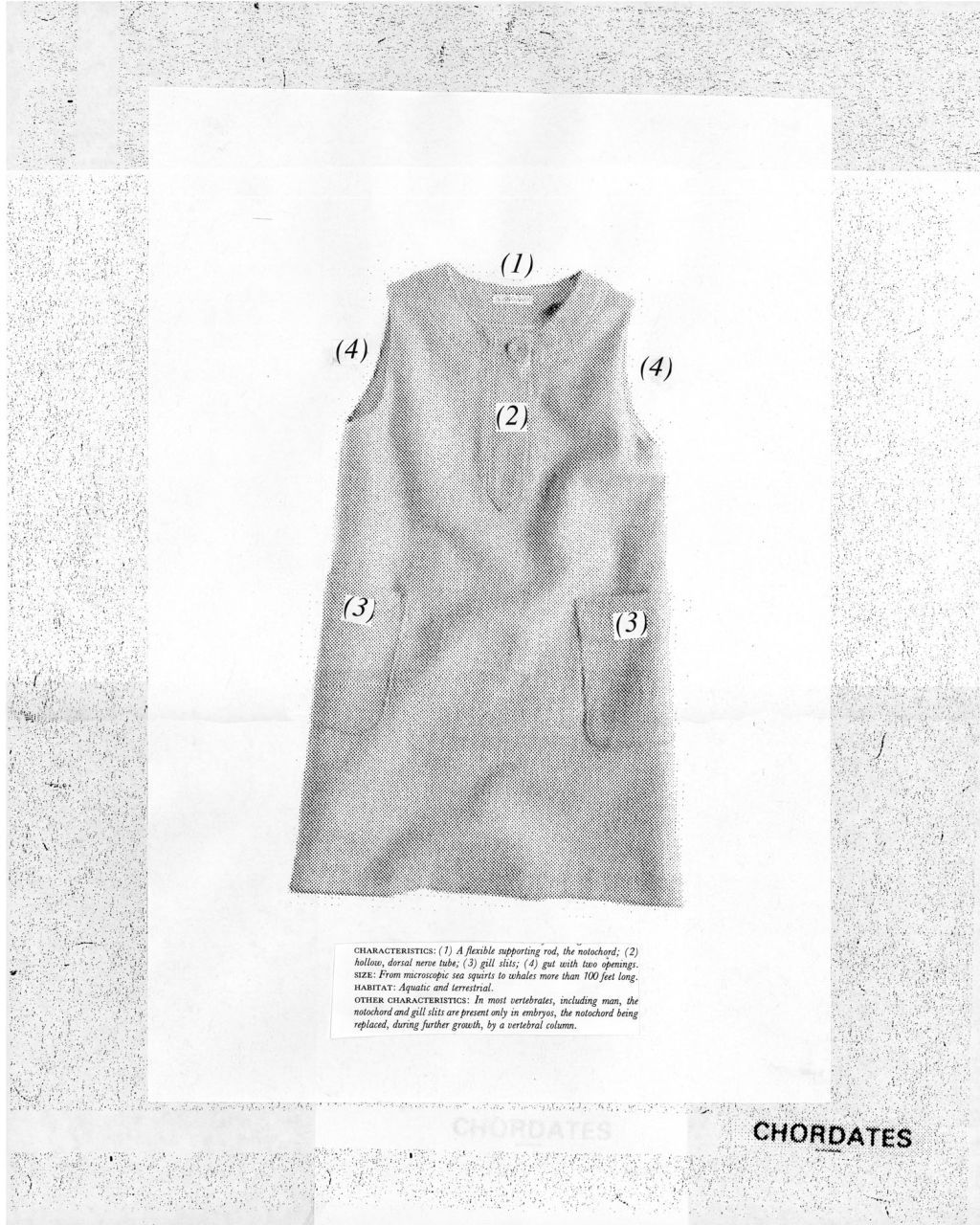 Alexandre Singh – Alexandre Singh – Berlin