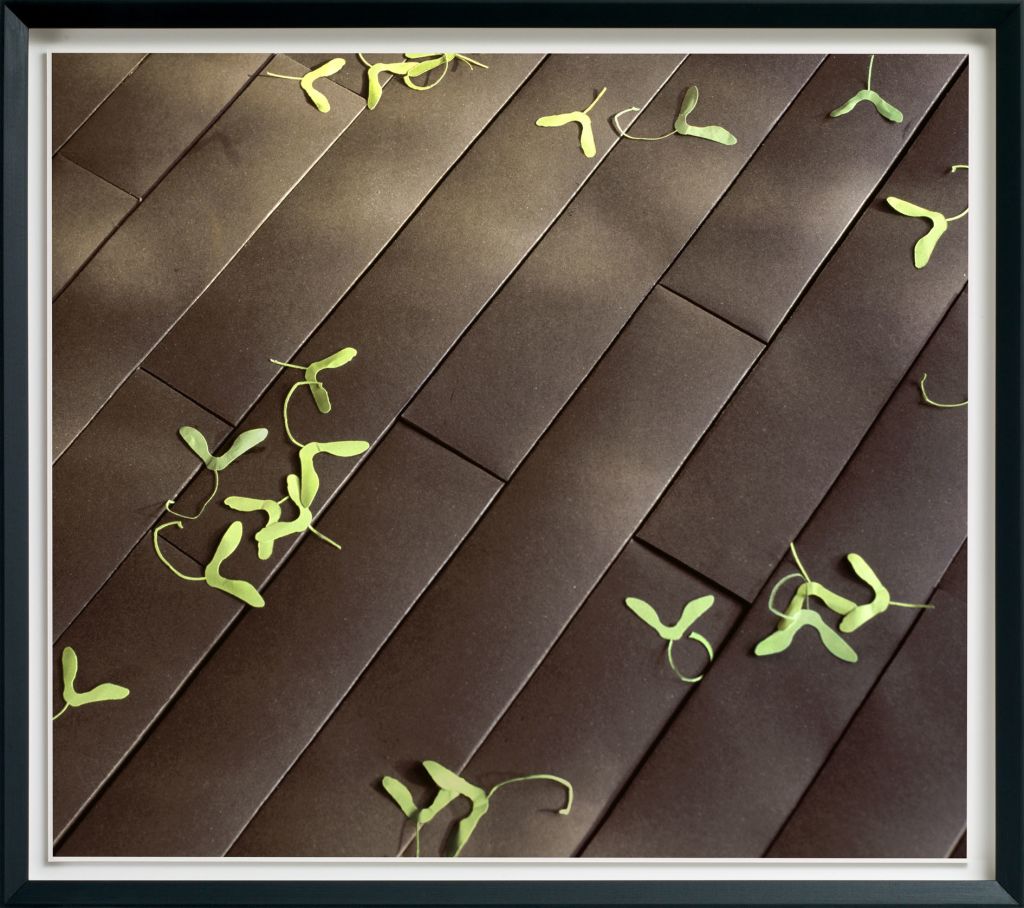 Thomas Demand – The Dailies – London