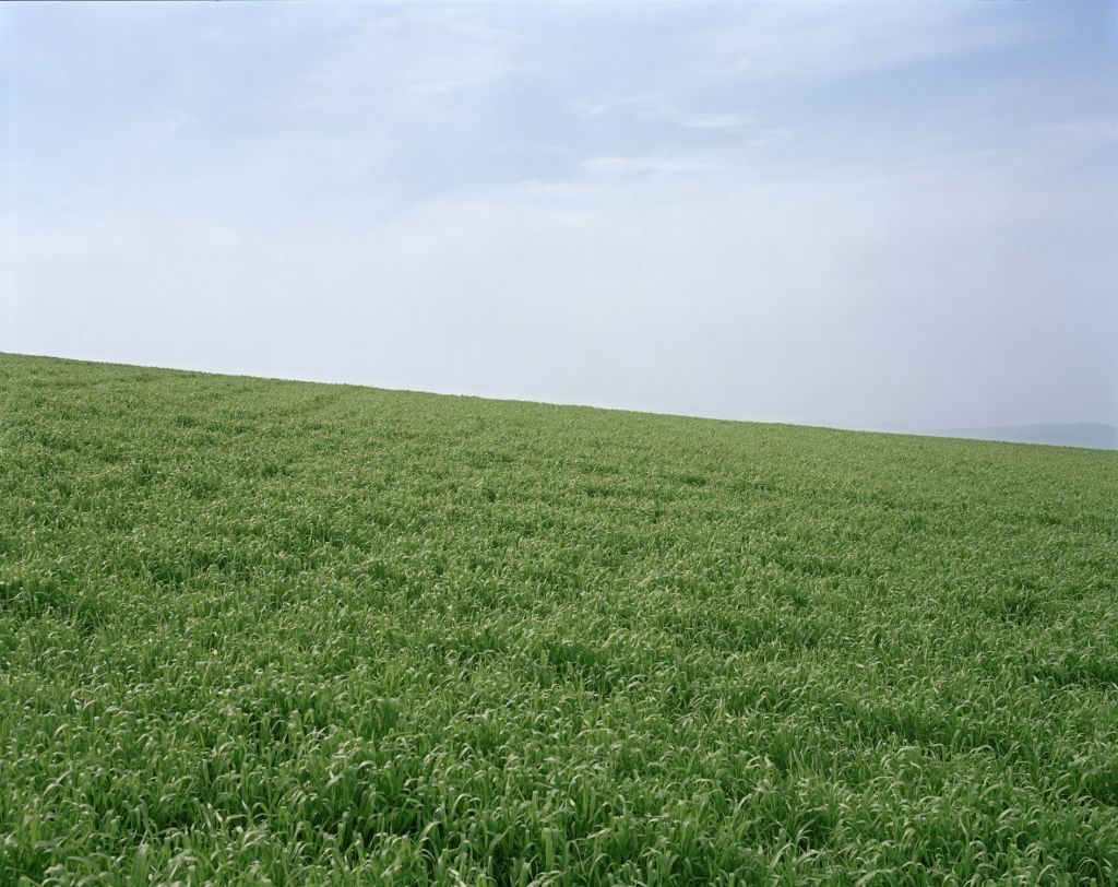 Stephen Shore – Something + Nothing – London