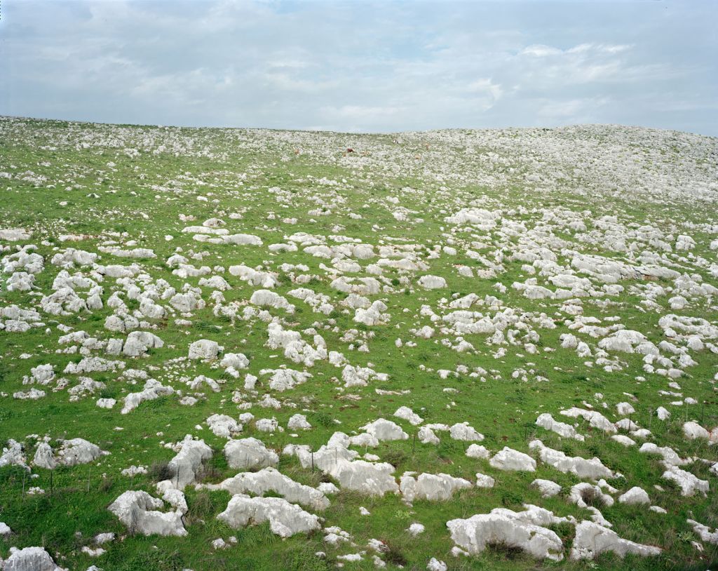 Stephen Shore – Something + Nothing – London