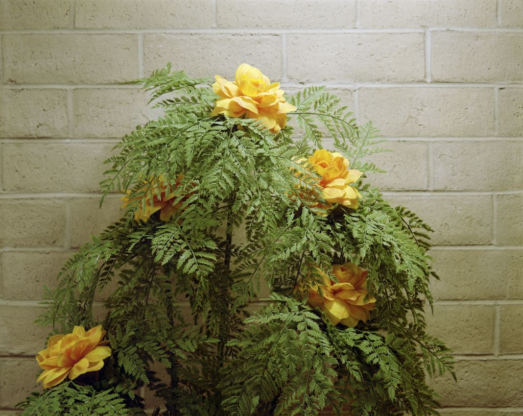 Stephen Shore – Uncommon Places – Berlin