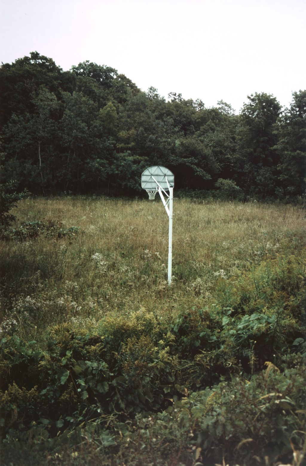Richard Prince – Cowboys, Mountains and Sunsets – Cologne