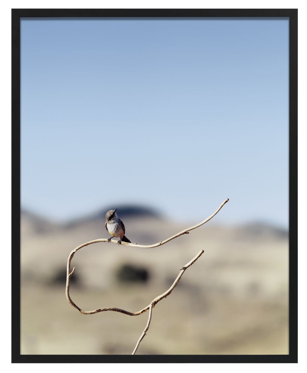 Jean-Luc Mylayne – Jean-Luc Mylayne – Berlin