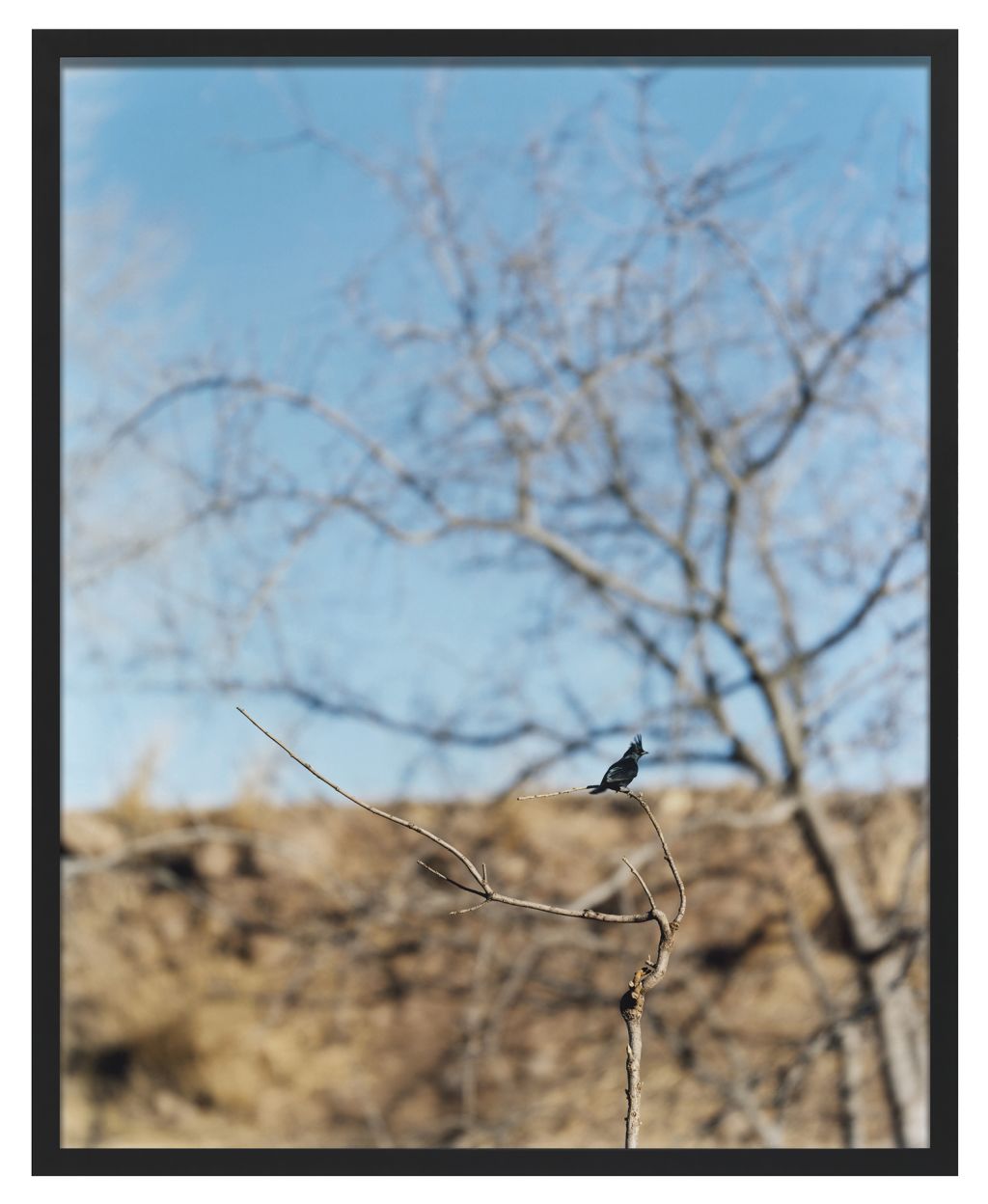 Jean-Luc Mylayne – Jean-Luc Mylayne – Berlin