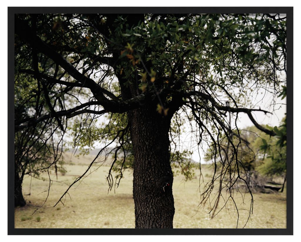 Jean-Luc Mylayne – Jean-Luc Mylayne – Berlin