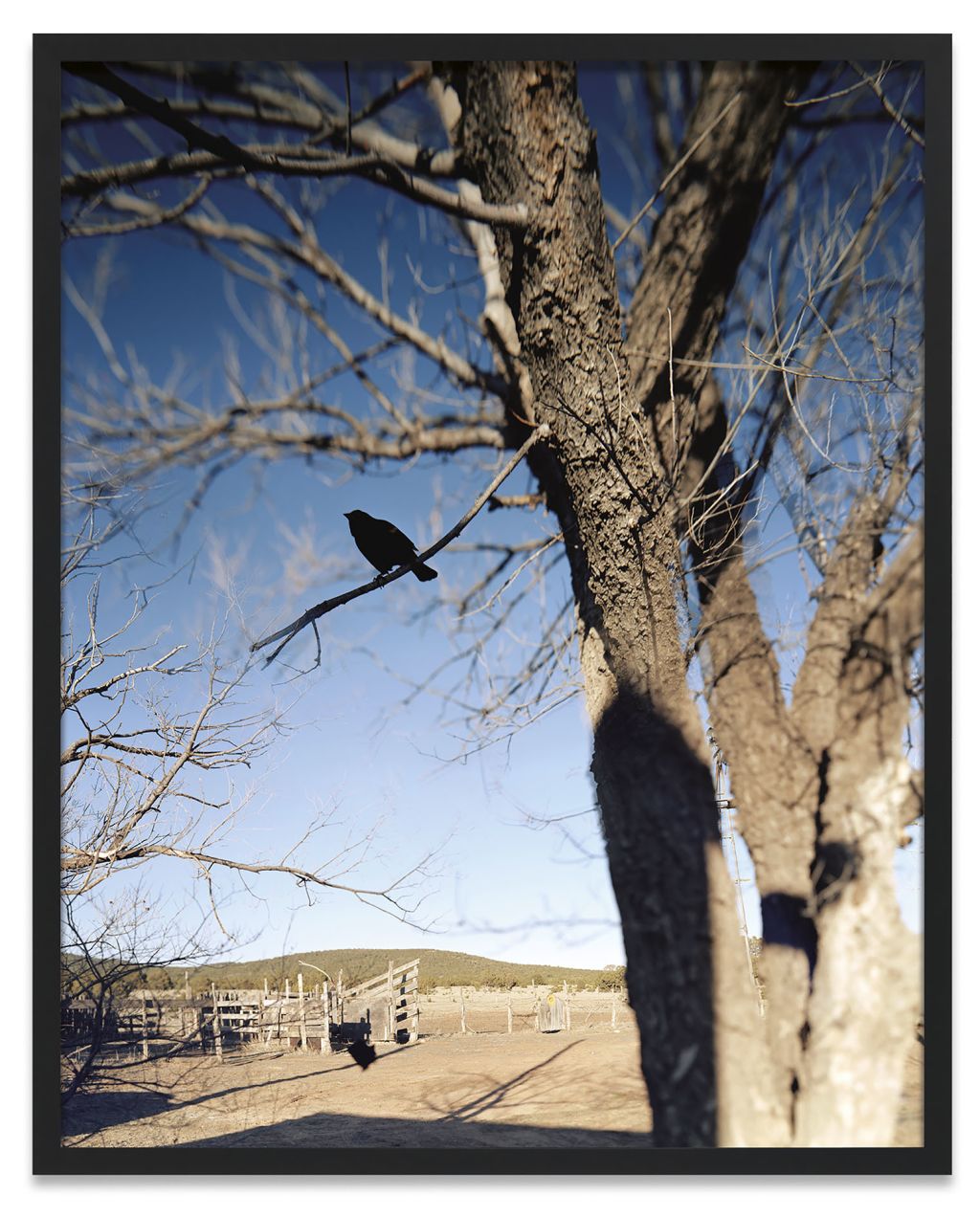 Jean-Luc Mylayne – Jean-Luc Mylayne – Berlin