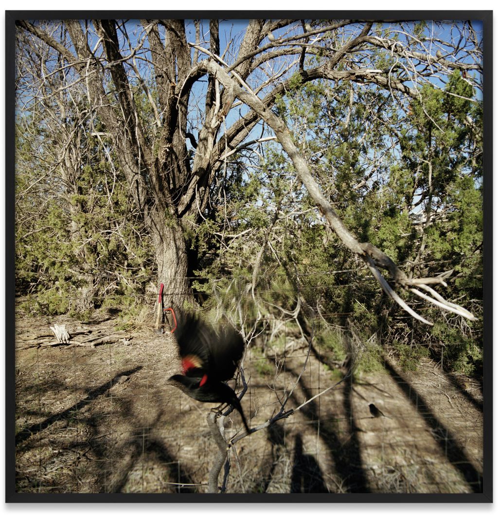 Jean-Luc Mylayne – Jean-Luc Mylayne – Berlin