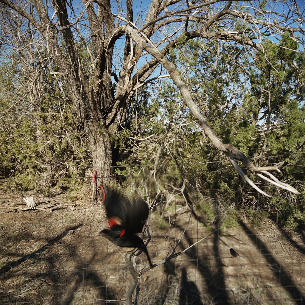 Jean-Luc Mylayne – Jean-Luc Mylayne – Berlin