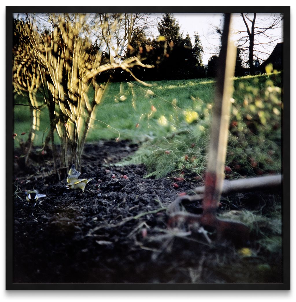 Jean-Luc Mylayne – Kairiciforms’ Impression – Cologne
