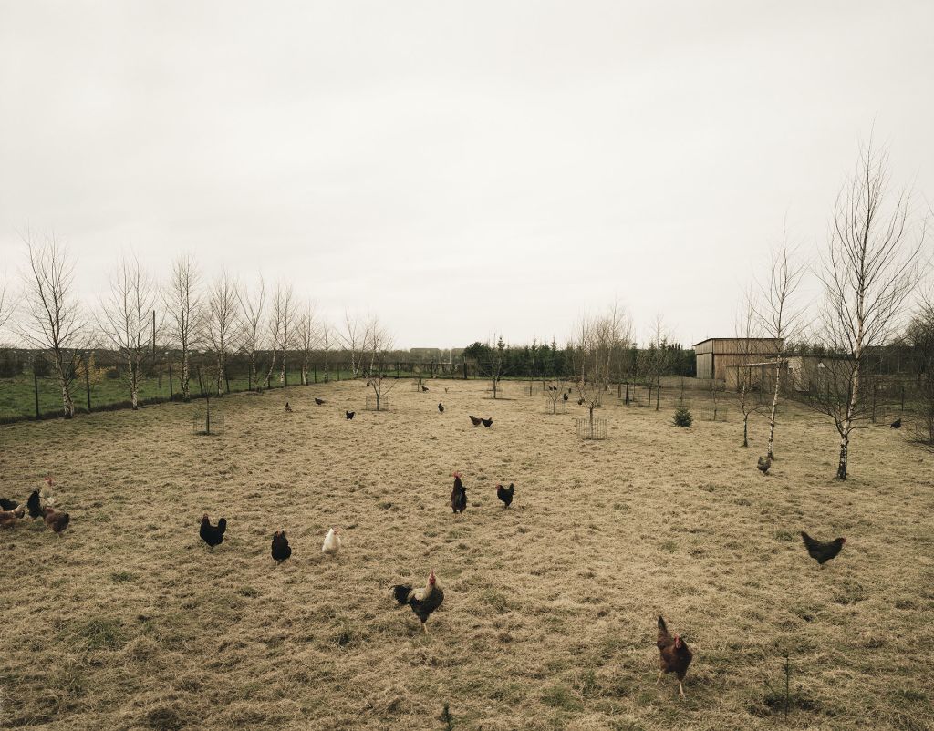 Andreas Gursky – Early Landscapes – London