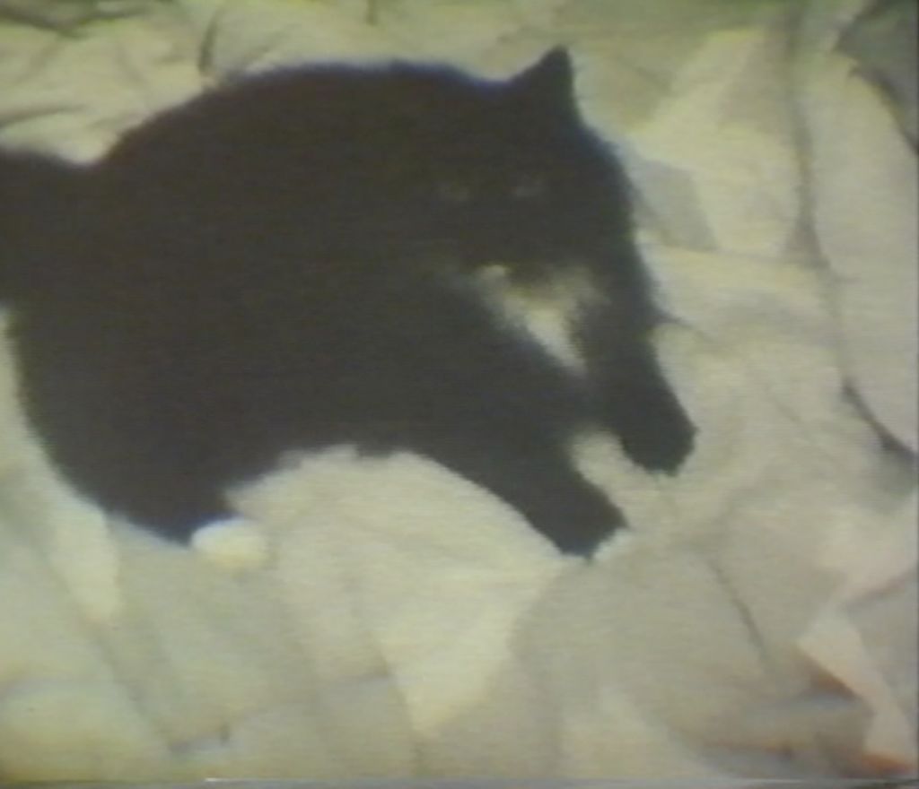 Karen Kilimnik – Karen Kilimnik – Los Angeles