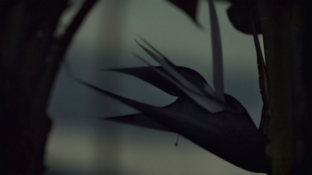 Cyprien Gaillard – Where Nature Runs Riot – Berlin