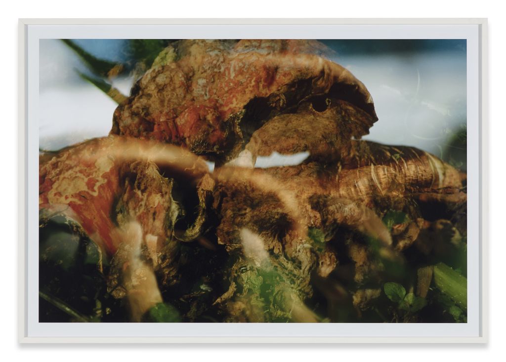 Peter Fischli David Weiss – Peter Fischli David Weiss – Cologne