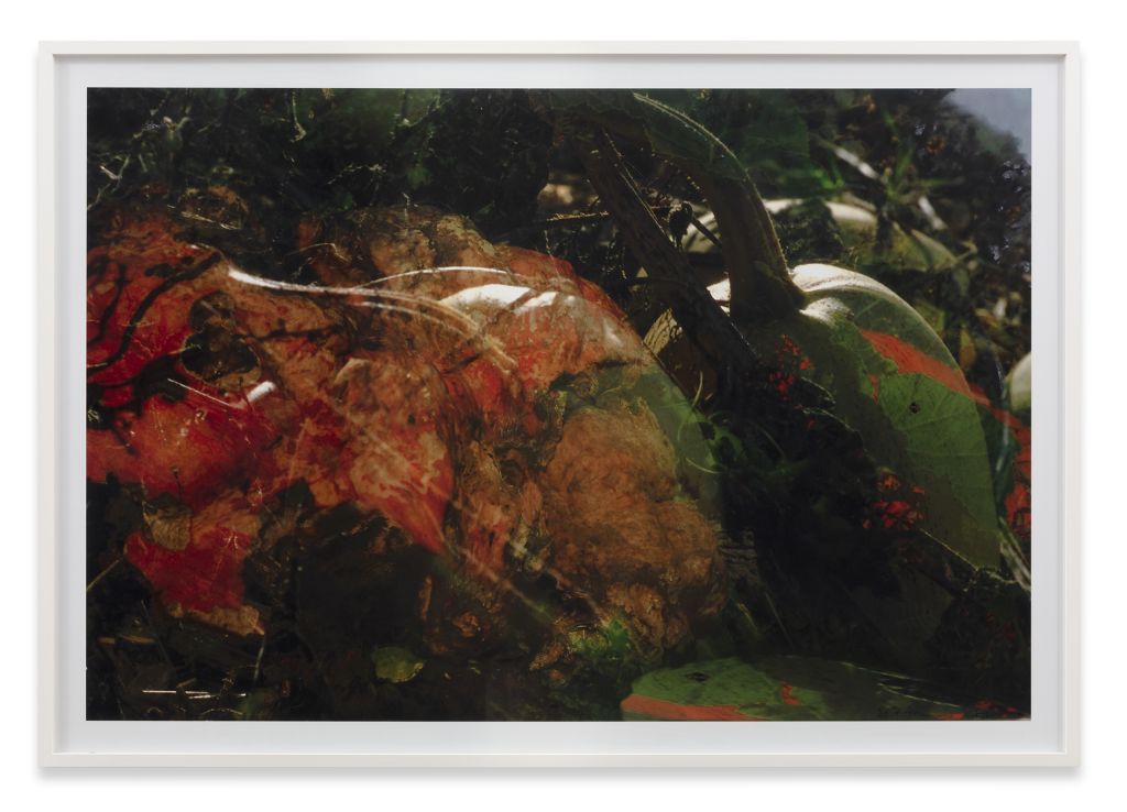 Peter Fischli David Weiss – Peter Fischli David Weiss – Cologne