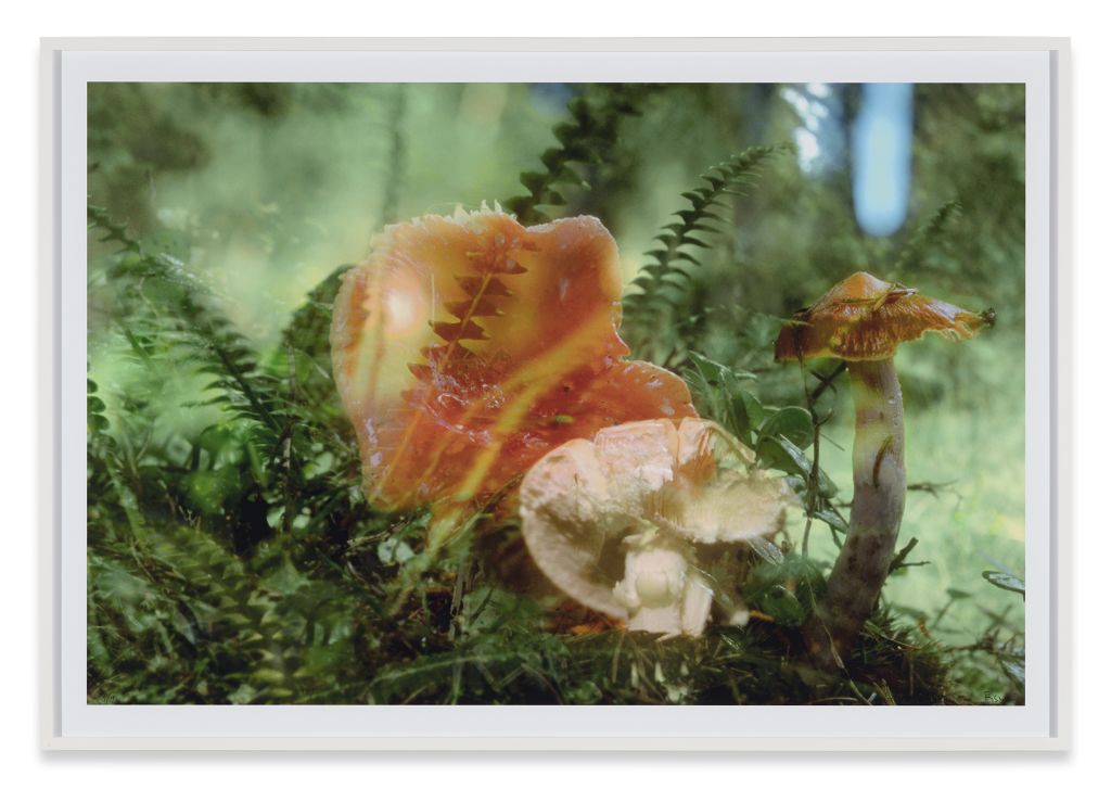 Peter Fischli David Weiss – Peter Fischli David Weiss – Cologne