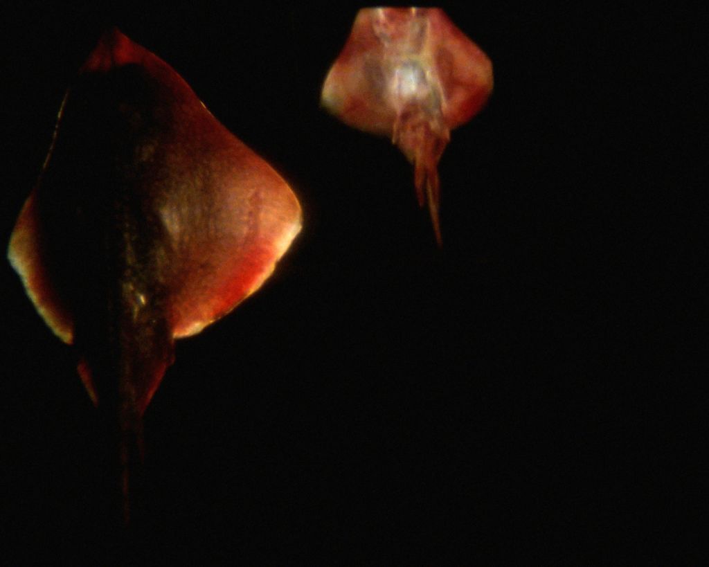 The Art of Narration Changes with Time – Group Exhibition – Berlin