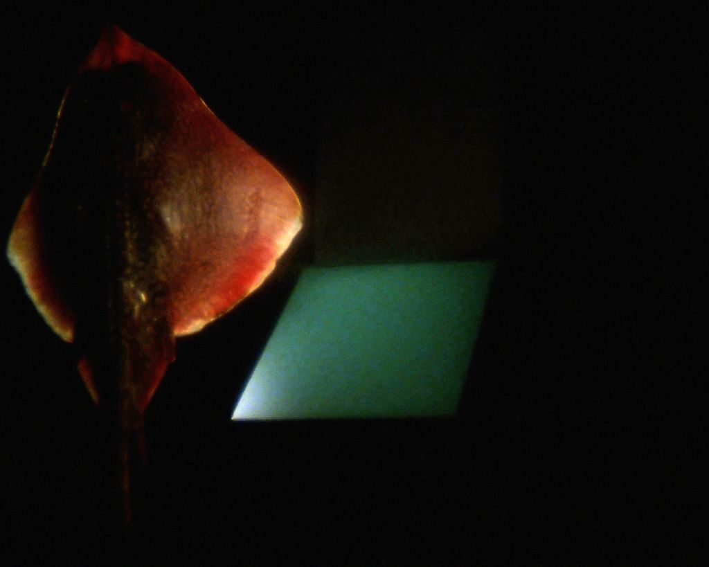 The Art of Narration Changes with Time – Group Exhibition – Berlin