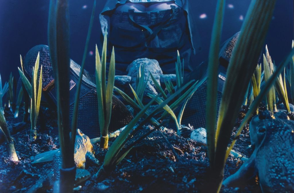 Cindy Sherman – Neue Arbeiten – Cologne