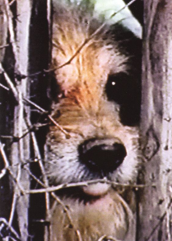 Mondi Possibili – Group Exhibition – Cologne