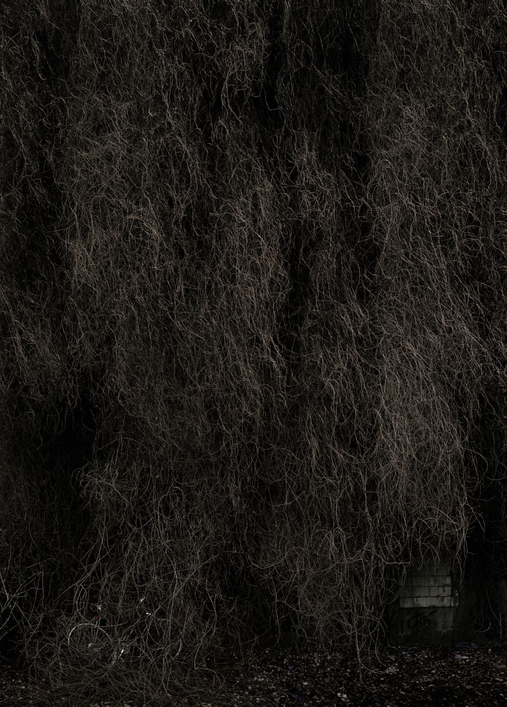 Nina Pohl – Nina Pohl – Munich