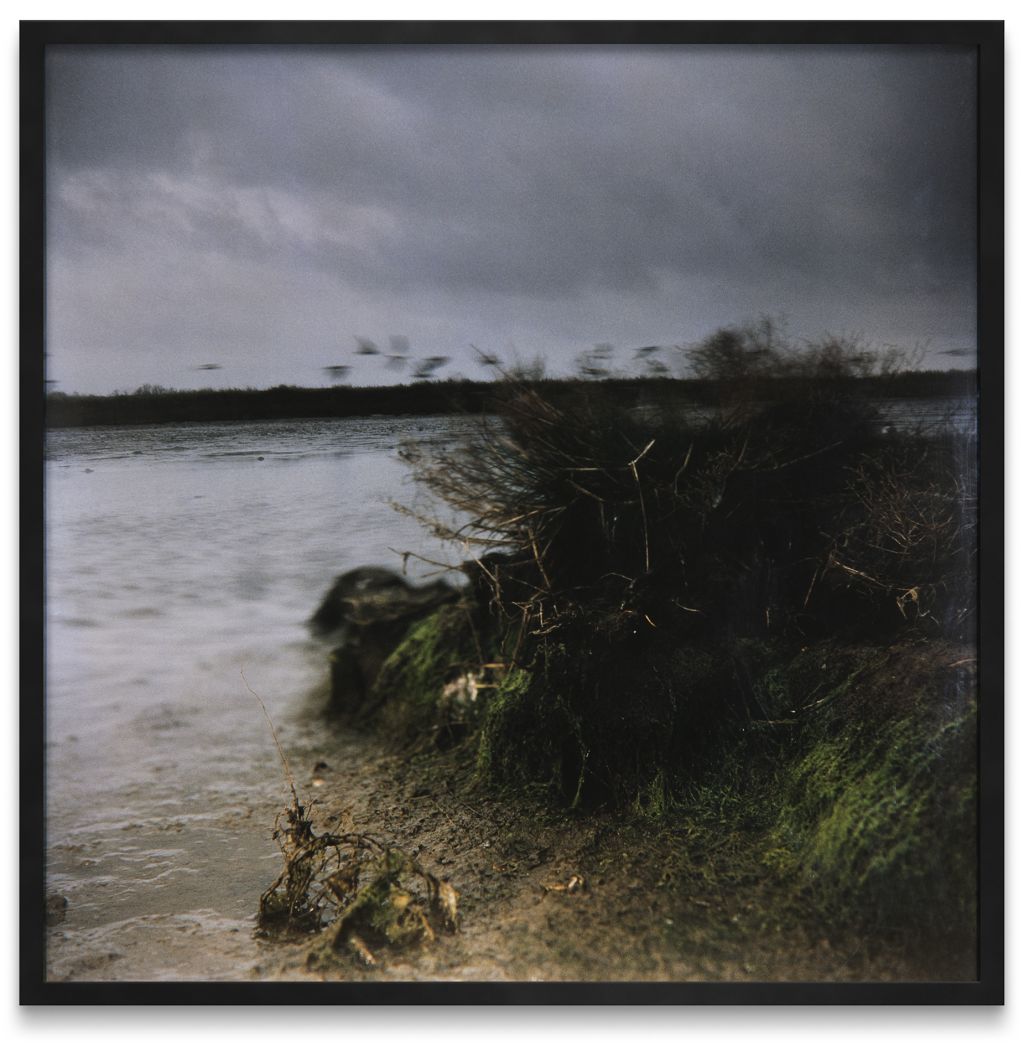 Jean-Luc Mylayne – Kairiciforms’ Impression – Cologne