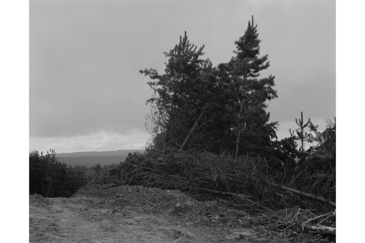 parc du sud emo stan