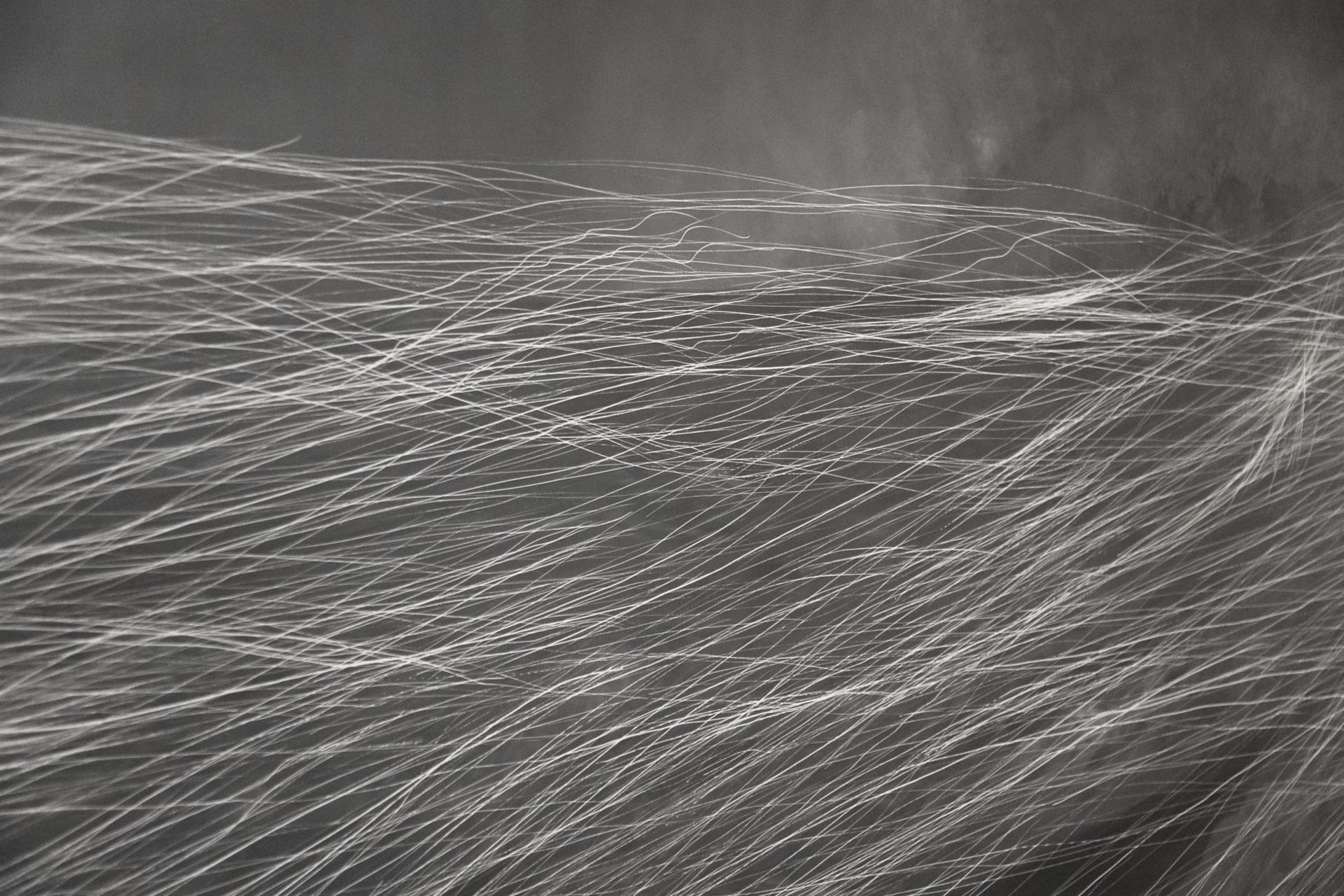 Anne Imhof – Citizen — image 1 of 1