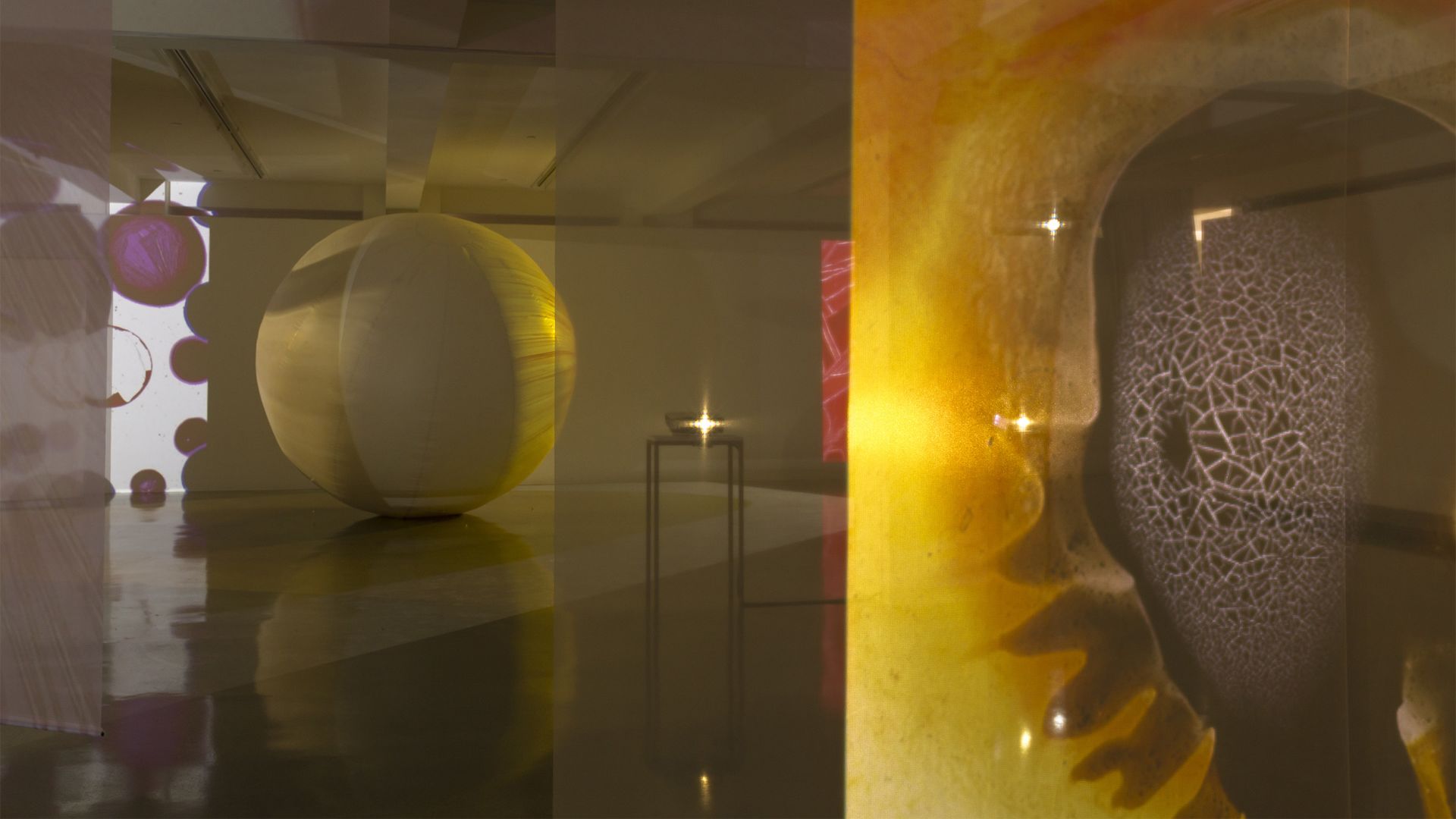 All installation views of The Proliferation of the Sun, Spr&uuml;th Magers, Los Angeles: Robert Wedemeyer