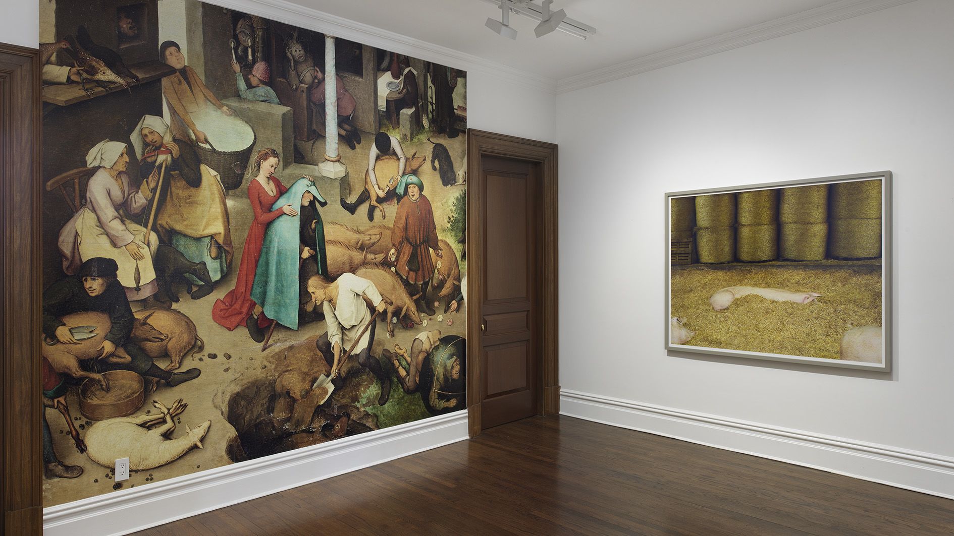 All installation views: Genevieve Hanson