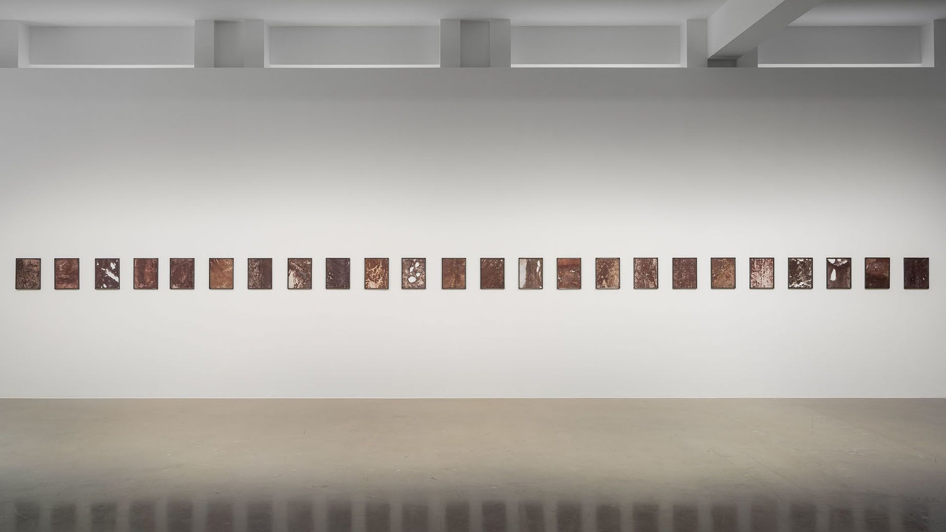 Gallery wall displaying horizontal row of small square artworks in reddish-brown tones with varied textures.