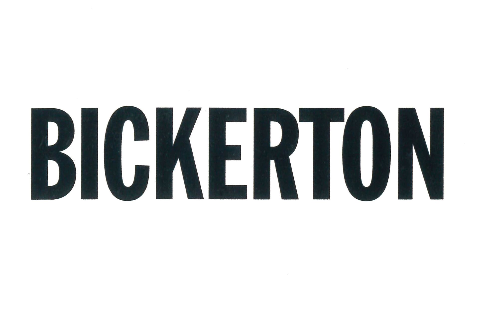 Ashley Bickerton Works from 1987 1996 Cologne Sprüth Magers