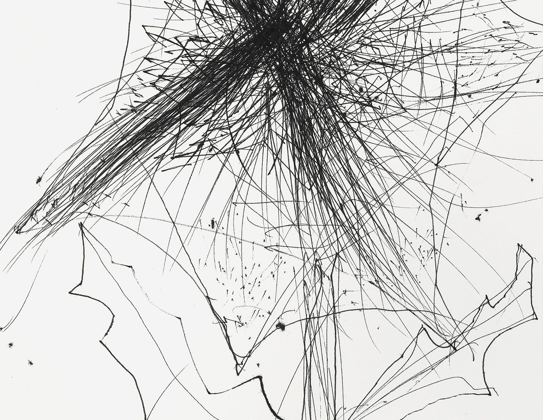 <p><b>Sterling Ruby<br />
</b><i>DR (8687)</i>, 2024<br />
Pen on paper<br />
29.8 &times; 20.3 cm | 11 3/4 &times; 8 inches</p>
