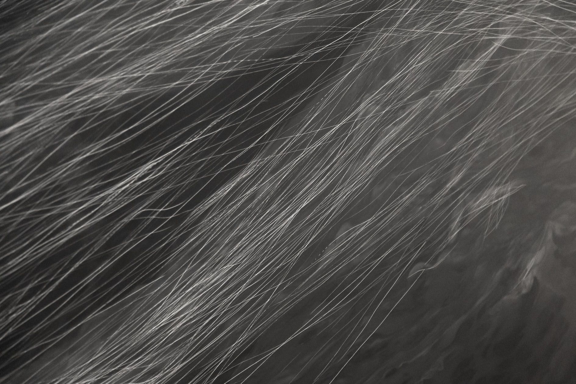 <p><b>Anne Imhof<br />
</b><i>Grey Wave I</i>, 2025<br />
Oil on canvas<br />
250 &times; 320 cm | 98 3/8 &times; 126 inches</p>

