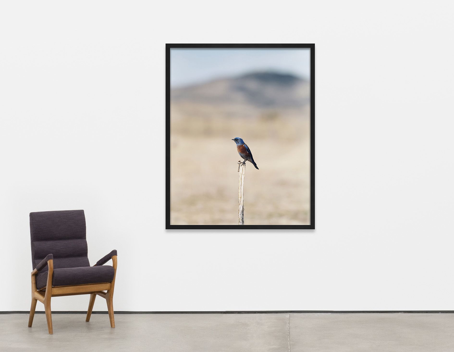 <p><b>Jean-Luc Mylayne<br />
</b><i>A 7, Novembre 2006 – Mars 2007</i>, 2006/2007<br />
C-print<br />
153 &times; 123 cm | 60 1/4 &times; 48 3/8 inches (framed)</p>
