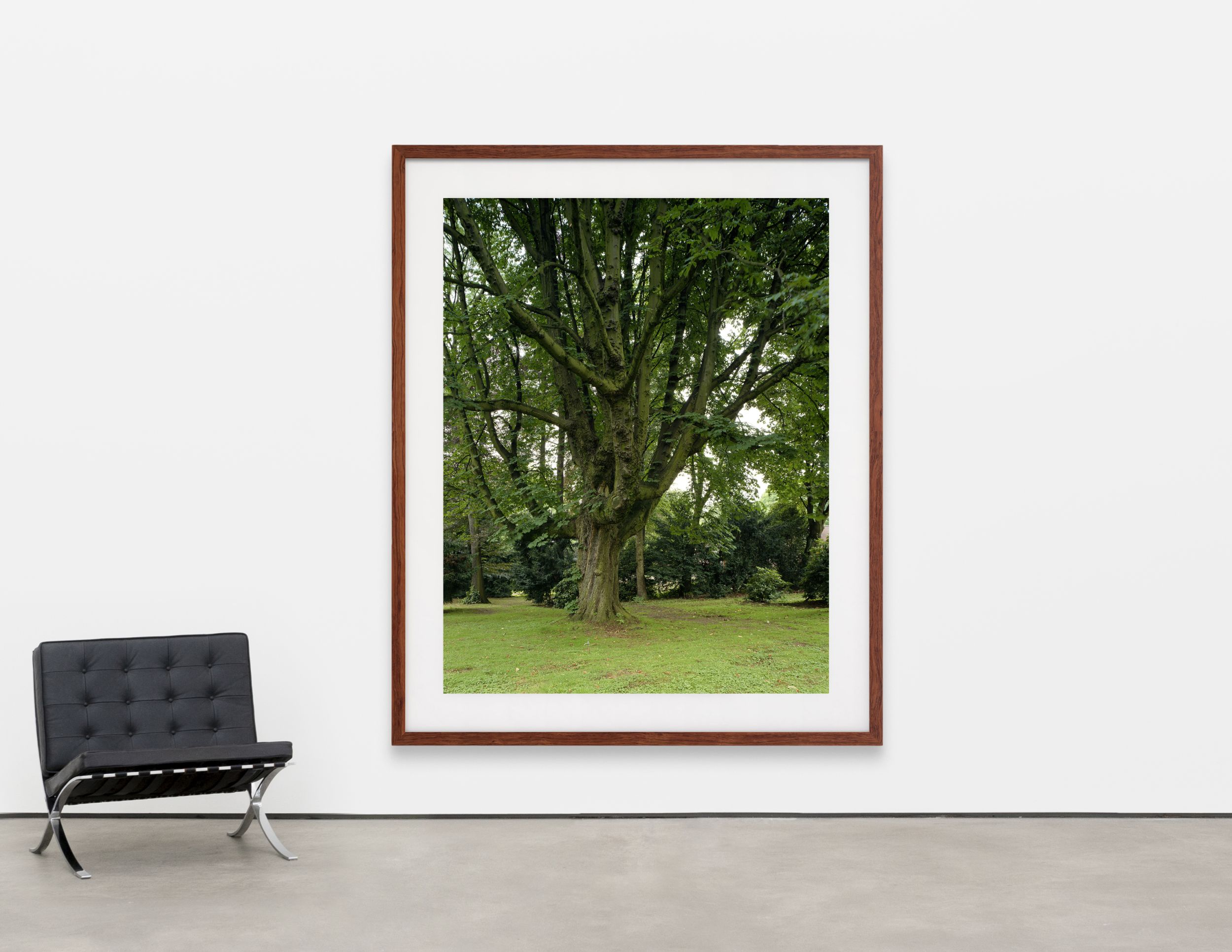 <p><b>Thomas Ruff<br />
</b><i>h.e.k.03</i>, 2000<br />
C-print<br />
210 &times; 165 cm | 82 3/4 &times; 65 inches (framed)<br />
Edition of 5</p>
