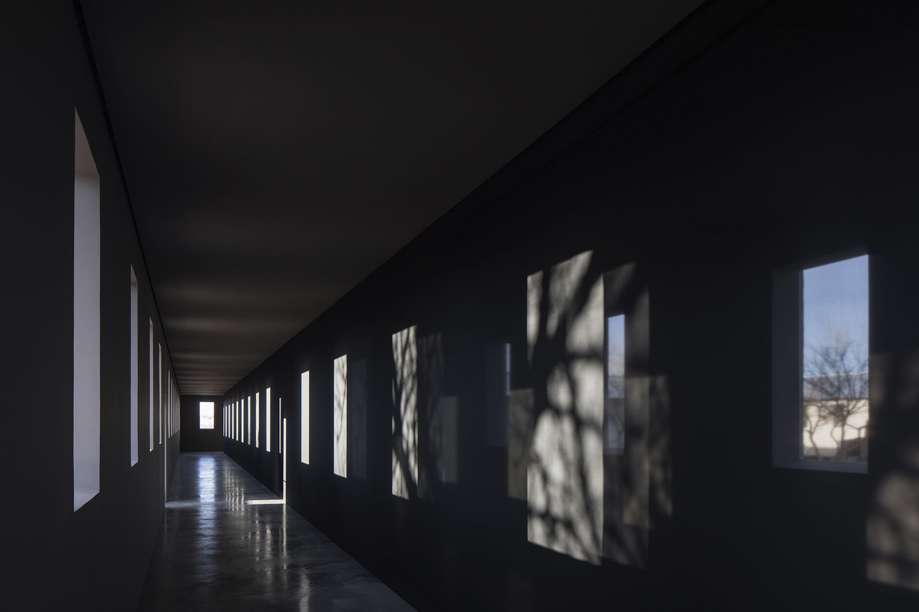 Robert Irwin