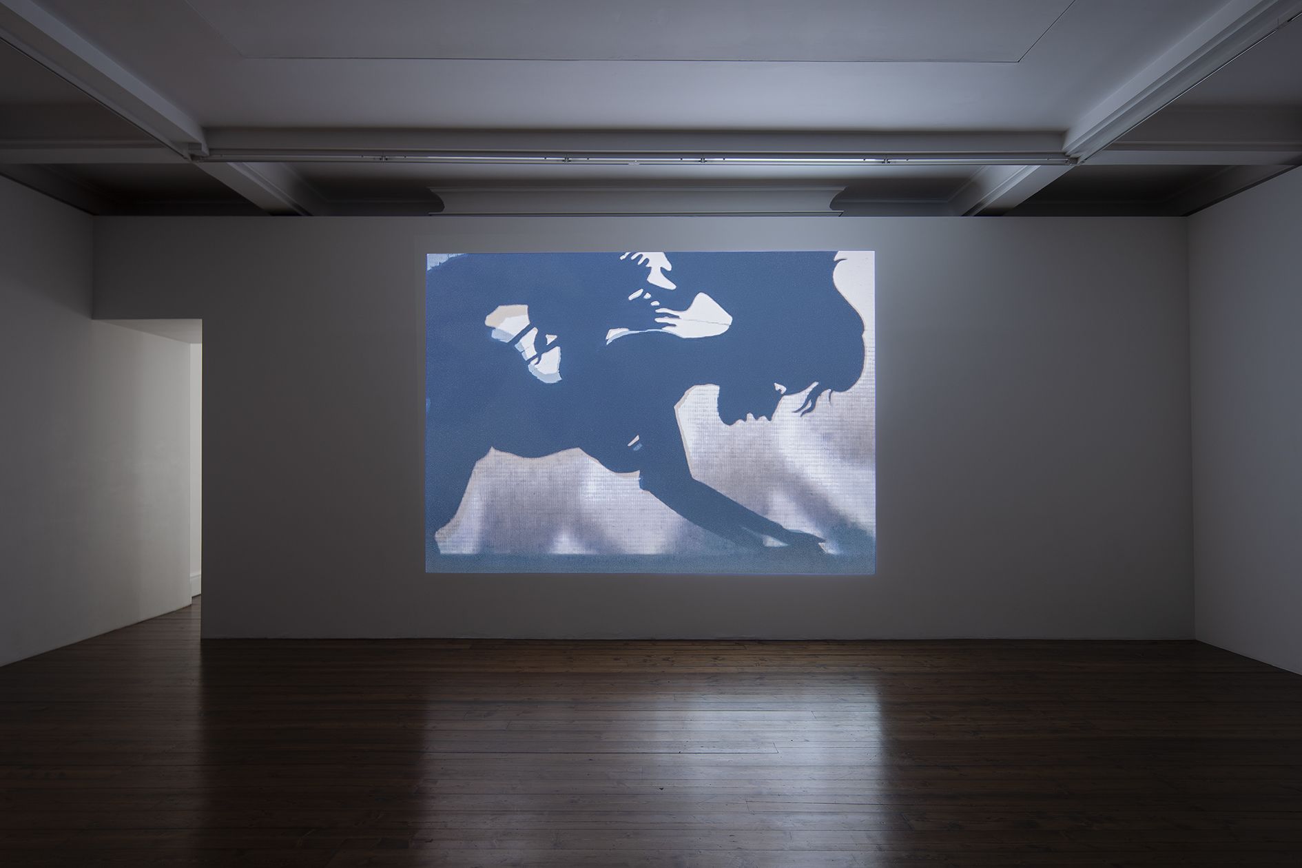 Kara Walker – From Black and White to Living Color: The Collected Motion Pictures and Accompanying Documents of Kara E. Walker, Artist. – London