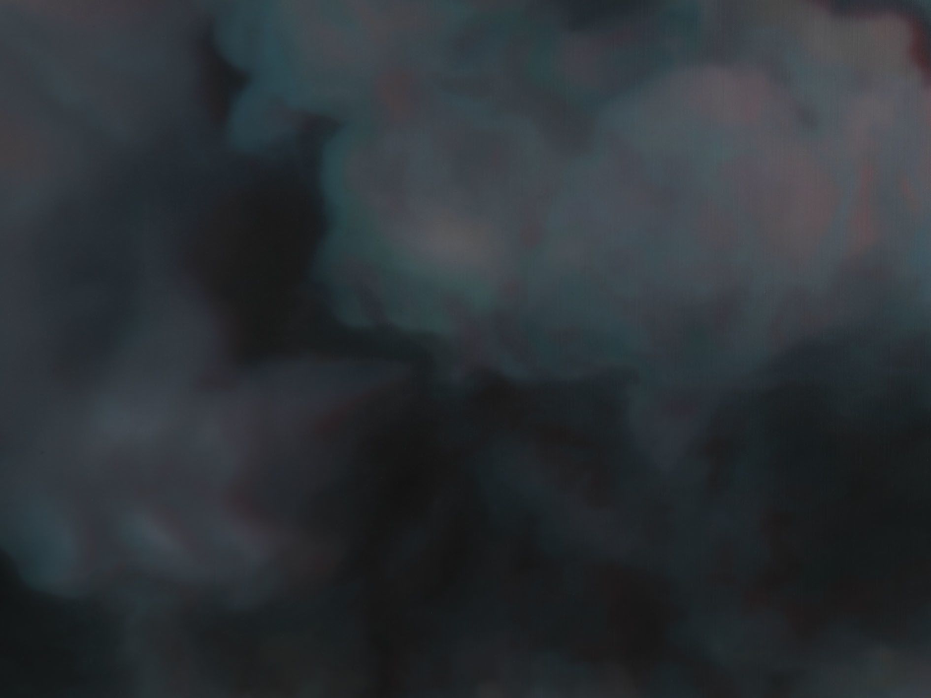 <p><b>Anne Imhof<br />
</b><i>Pink Cloud</i>, 2025<br />
Oil on canvas<br />
280 × 420 cm | 110 1/4 × 165 3/8 inches</p>
