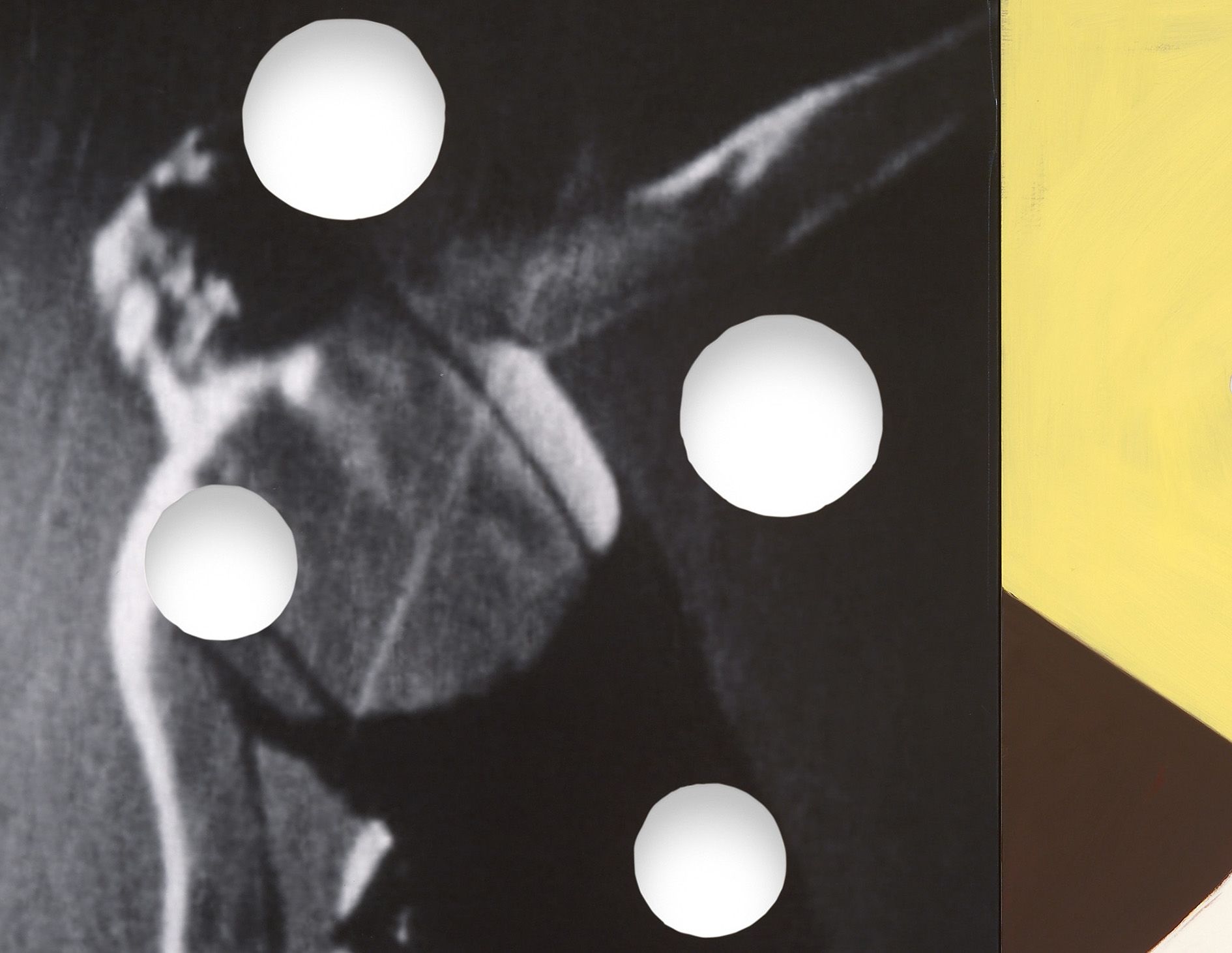 <p><b>David Salle<br />
</b><i>Night Shoot</i>, 2009<br />
Oil on linen and inkjet on canvas<br />
167.6 &times; 223.5 cm | 66 &times; 88 inches</p>
