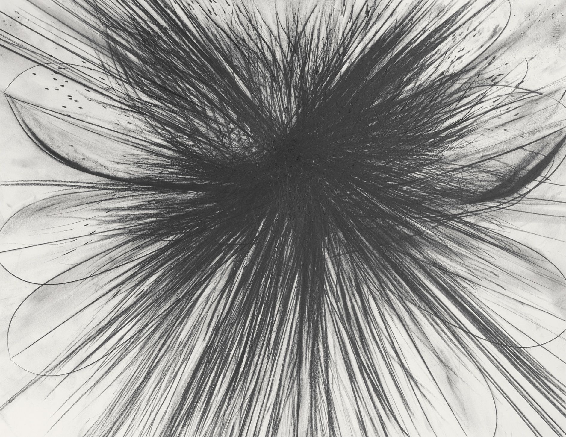 <p><b>Sterling Ruby<br />
</b><i>HENBANE (9100)</i>, 2025<br />
Graphite on paper<br />
76.2 &times; 57.1 cm | 30 &times; 22 1/2 inches<br />
81.9 &times; 63.2 &times; 3.8 cm | 32 1/4 &times; 24 7/8 &times; 1 1/2 inches (framed)</p>
