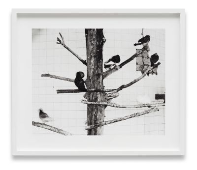 local talent – Group Exhibition – Berlin